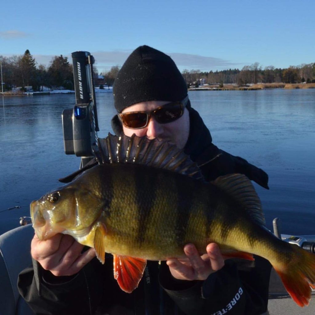 15138519_10154991058796564_644006500707620380_o