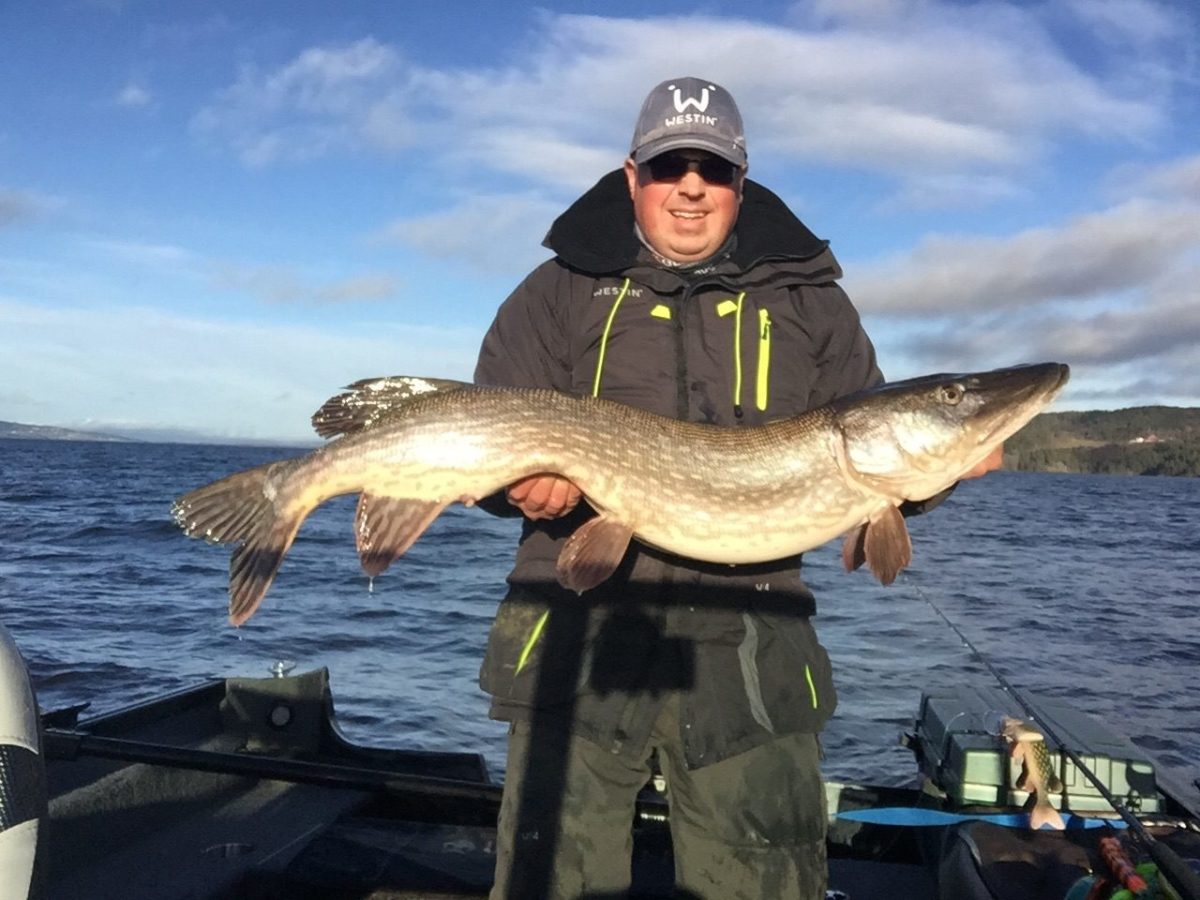 Petter Støttum med 11+