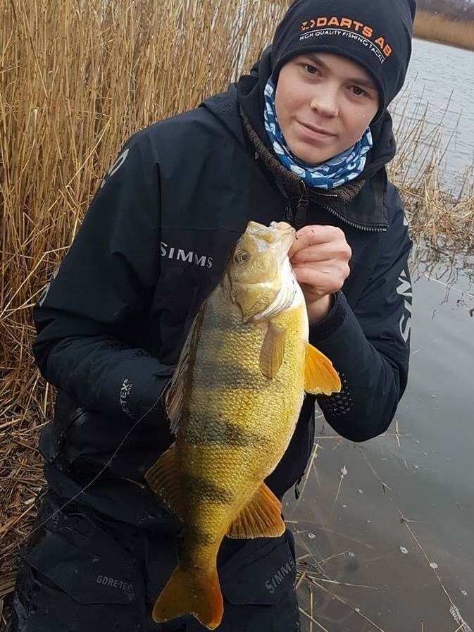 1200gr-og-43-cm