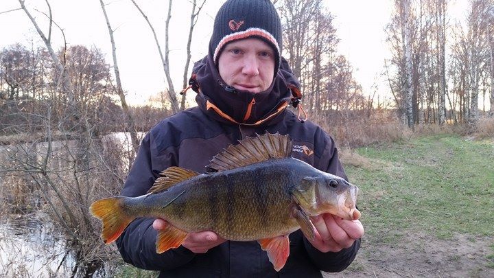 1350gr-og-44cm