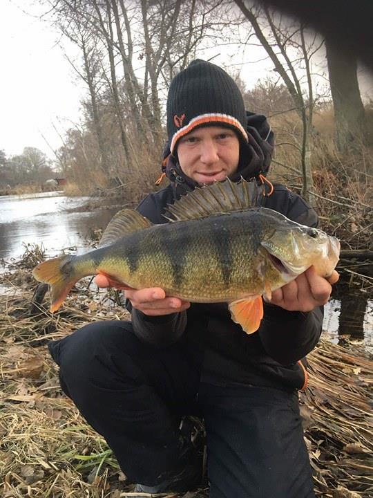 1460gr-og-43cm