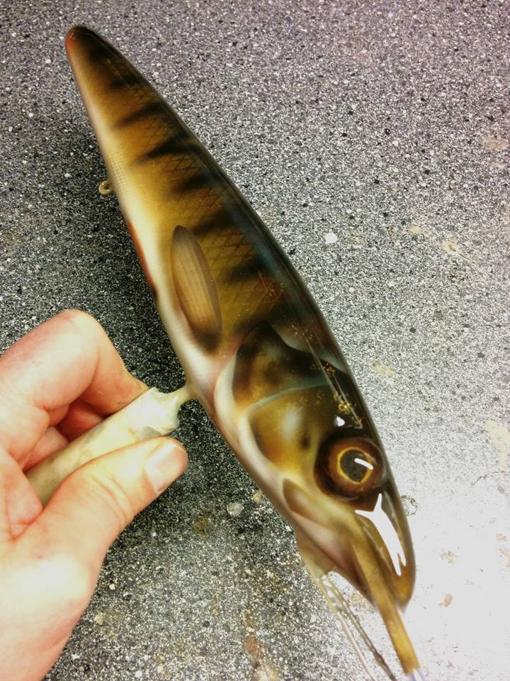 15203142_1711476135847564_608774735960013646_n