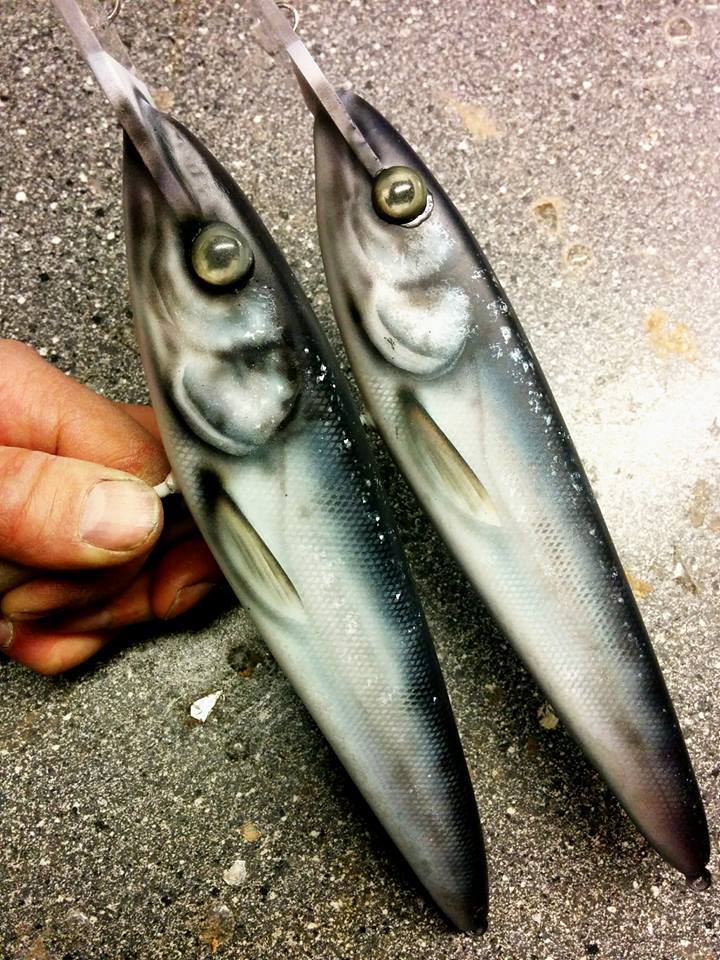 15230730_1715304942131350_8516920492936375538_n