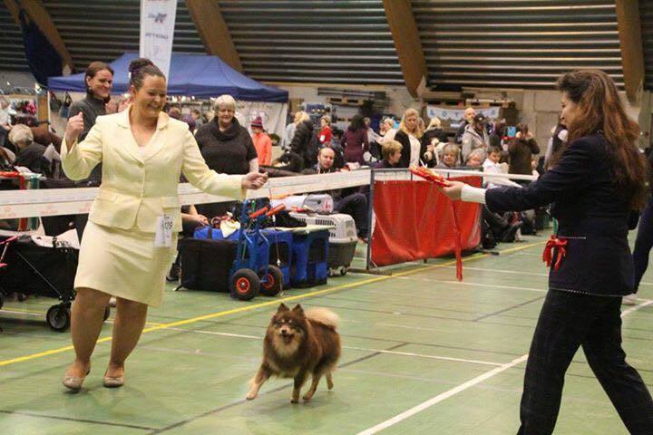 15781188_1197081087049190_7403162501423325292_n