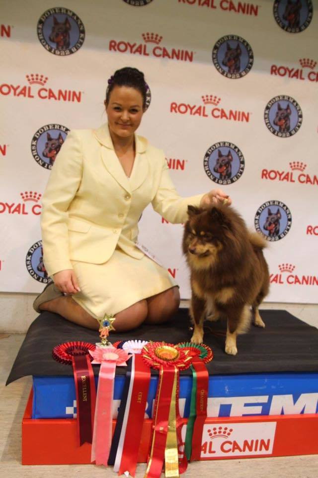 15781415_1197022987055000_2204680088298295294_n