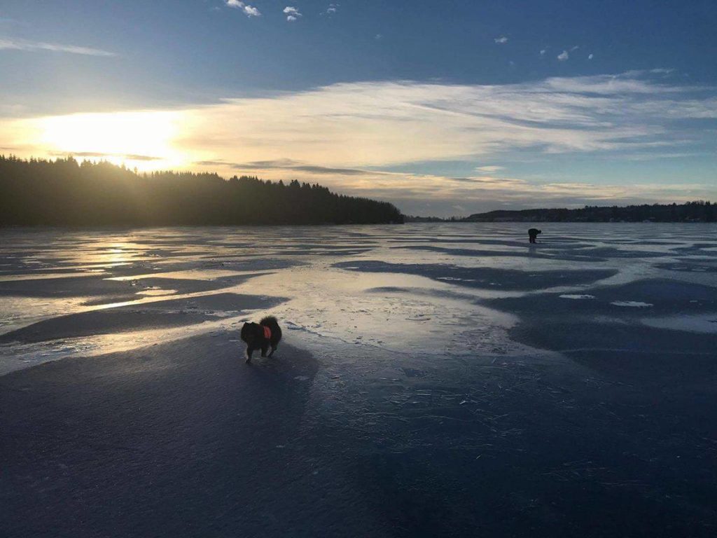 15935146_1395363957153949_949236340_o