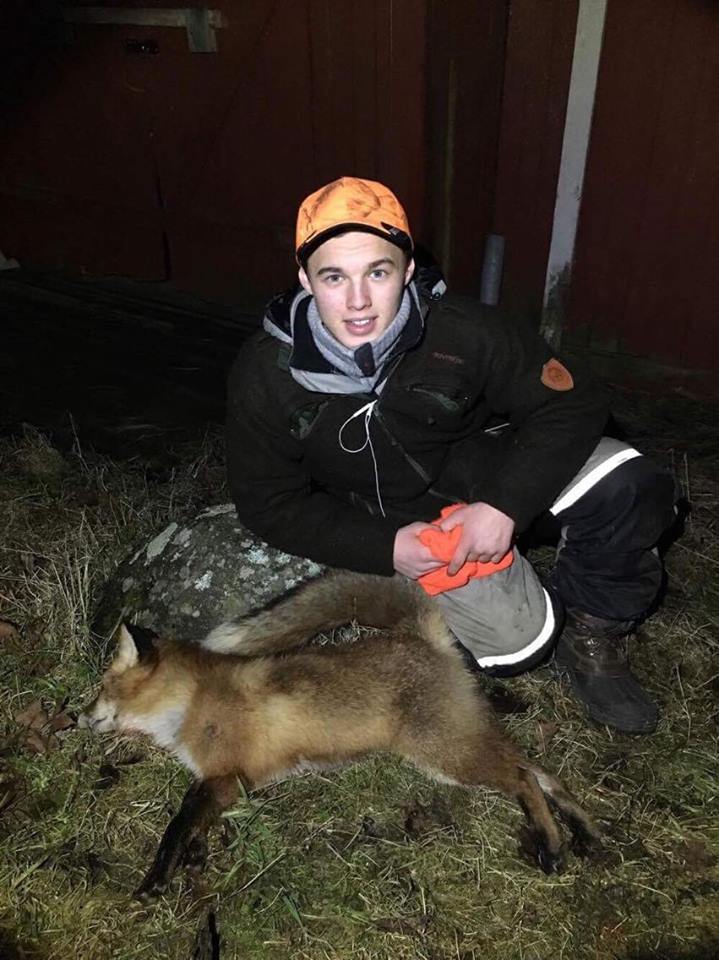 Hva gjør en fisker når han ikke fisker ? Åtejakt på rev.