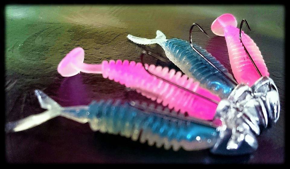 16387213_1684016511896264_2166821253968555955_n