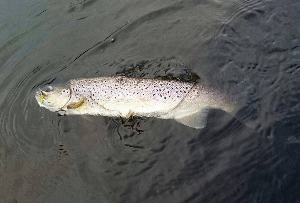 16466593_1684442415187007_819982022_o