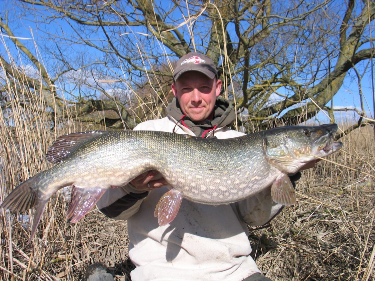 Jerk Snedkeren Attitude CCT  lure demo.