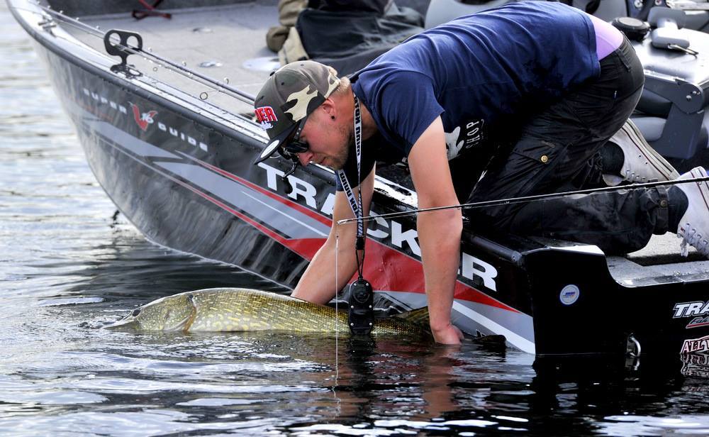 Mine topp 10 gjedder 2016!!!!