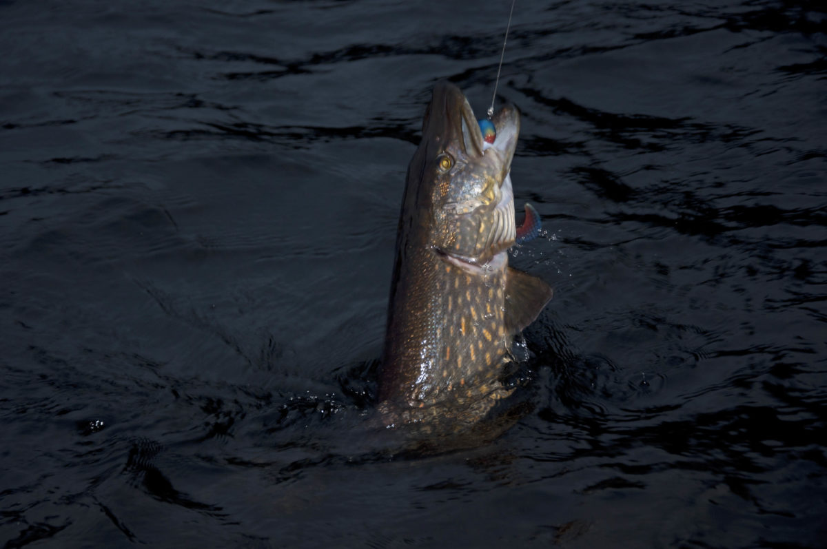 Trevligt avslut på 2016!