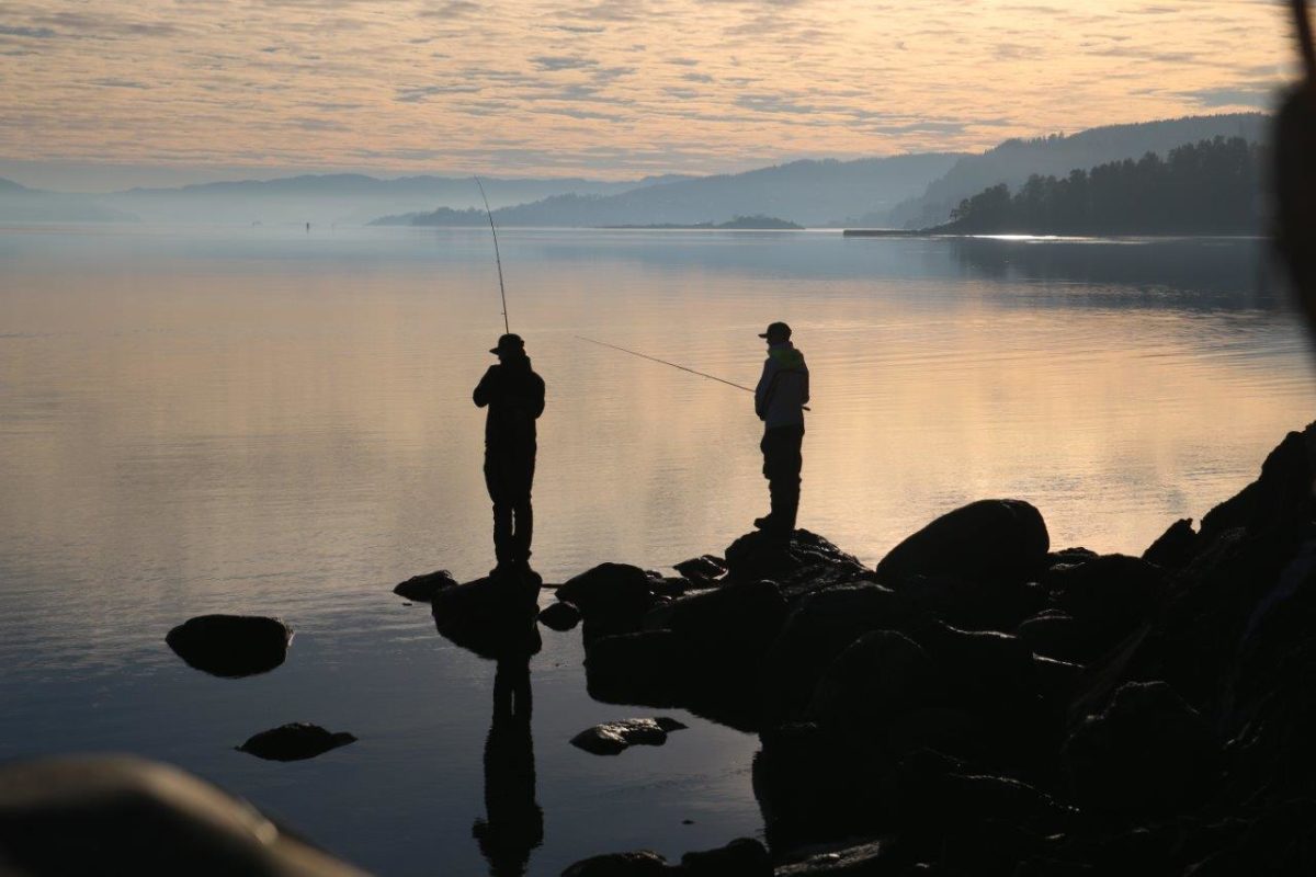En litt anderledes dag..