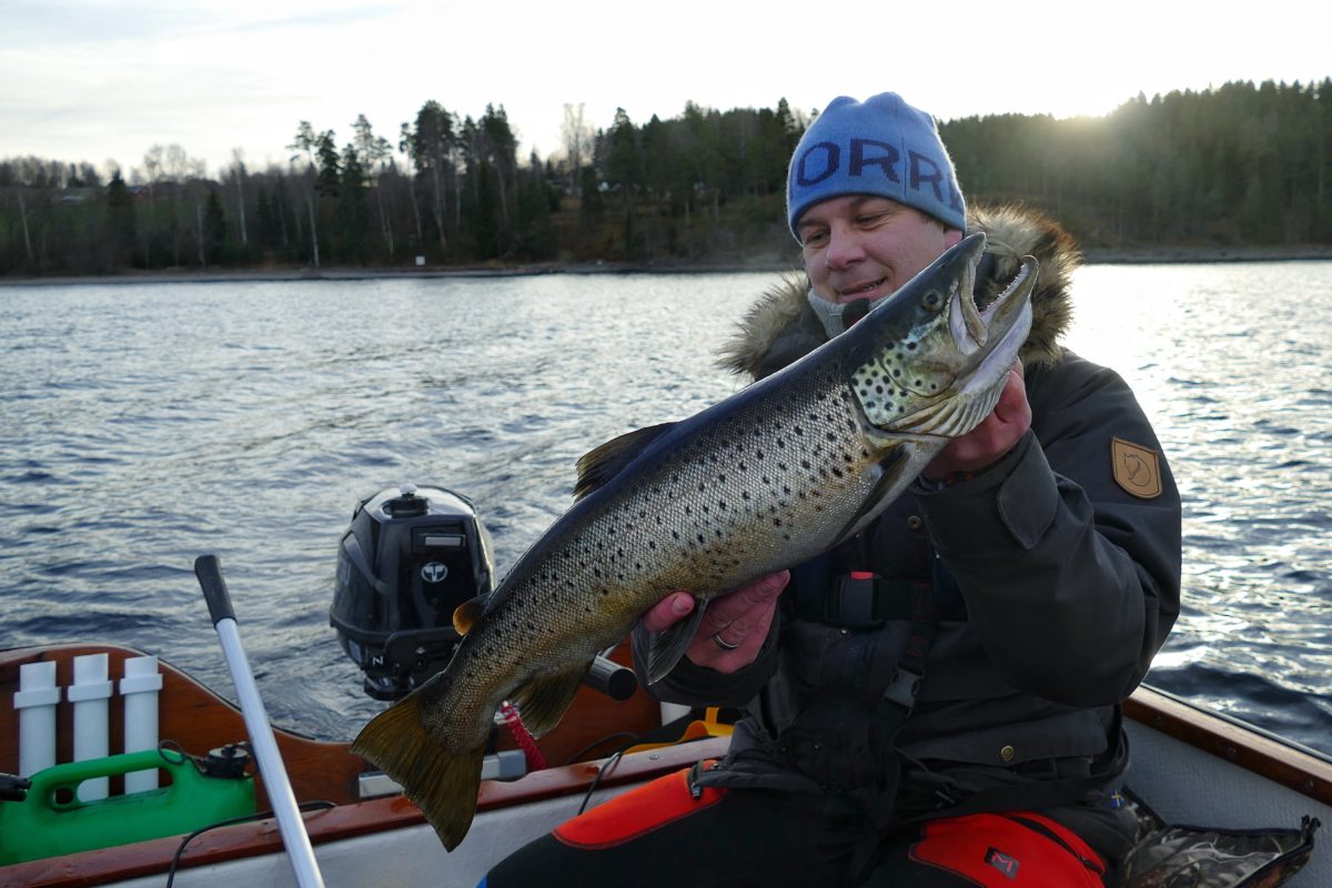 DUPPTROLLING ETTER ØRRET