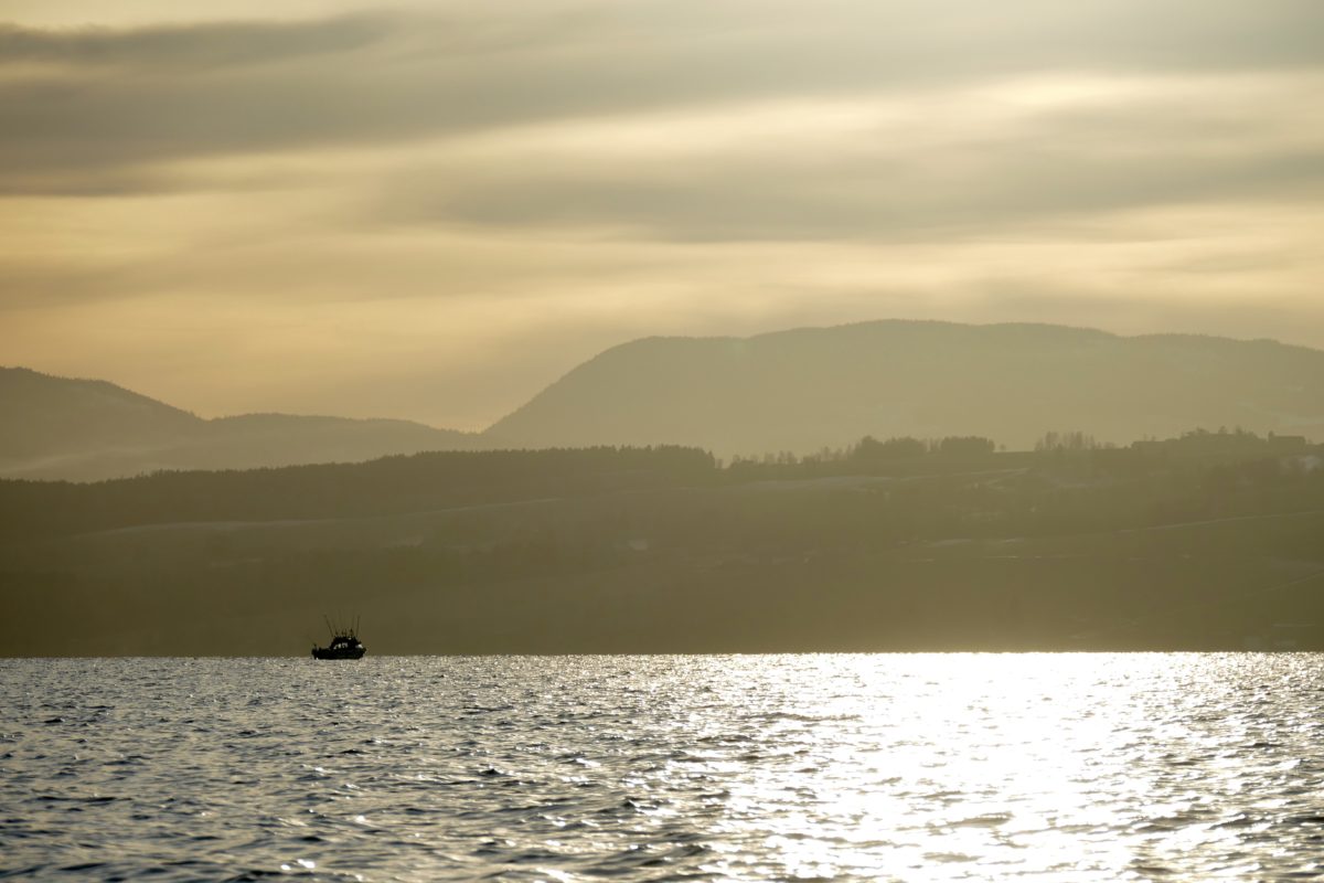Kent Skaje har vært på ørret jakt.