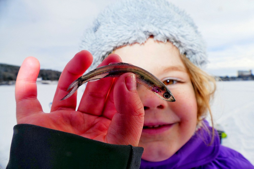 EN LITEN TURRAPPORT FRA MJØSA !! Kent Skaje rapporterer i sammen med veslejenta og Cindy.