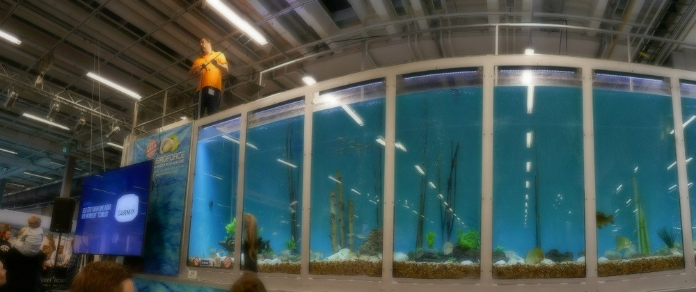 Hva skjer når i Rovfiskakvariet i hall D på Campvillmark.