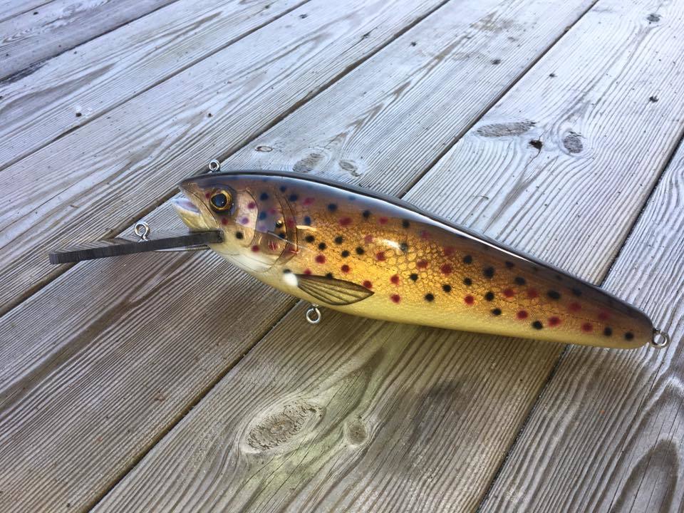 15941522_1101400609982247_3658079557261983299_n