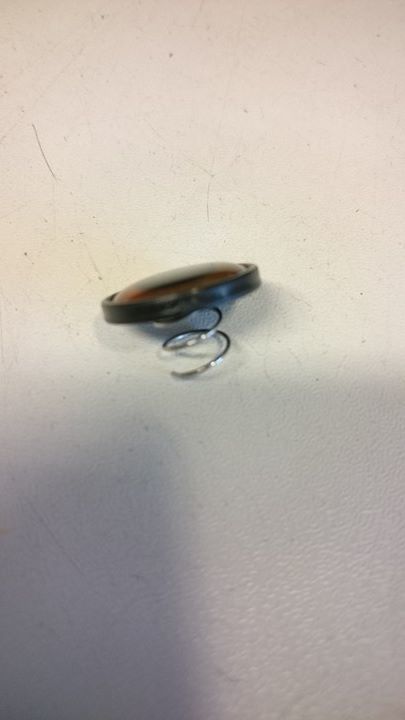 16128127_10154477323160756_1794394979_n