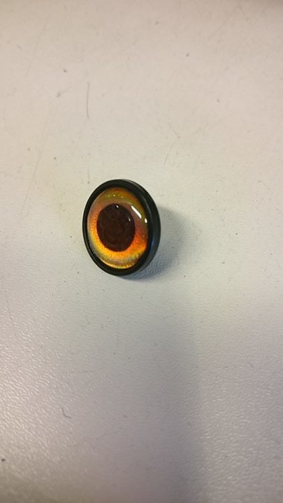 16176288_10154477323035756_1289912298_n