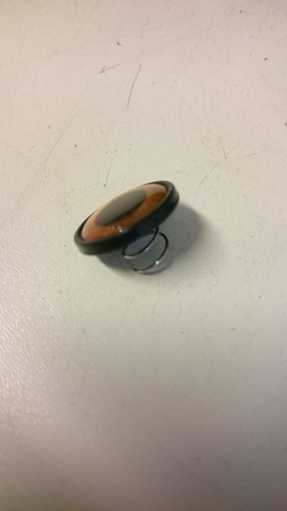 16176630_10154477322990756_545069195_n