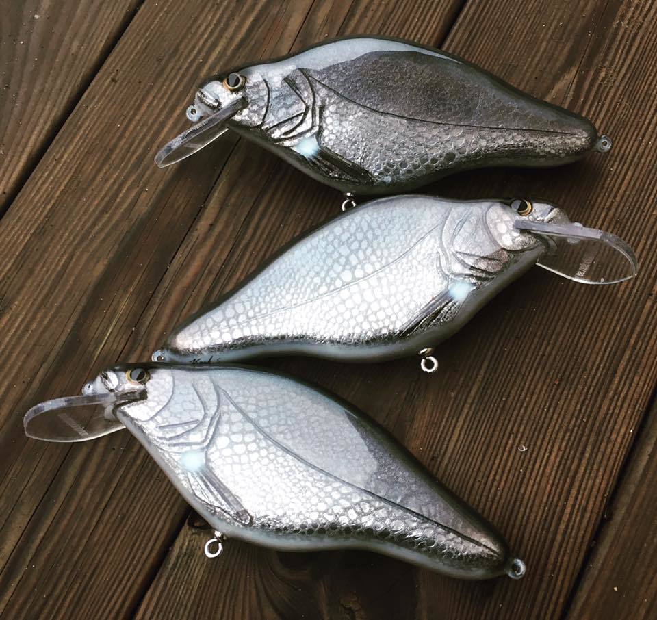 16265383_1111965615592413_3575336986963965352_n