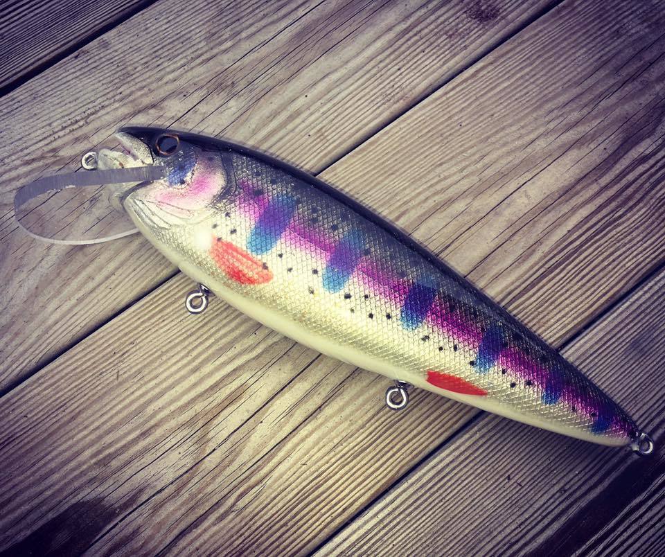 16426119_1120809624708012_3226301805509644284_n