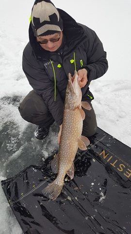 16507053_1429815413708803_241287640_n