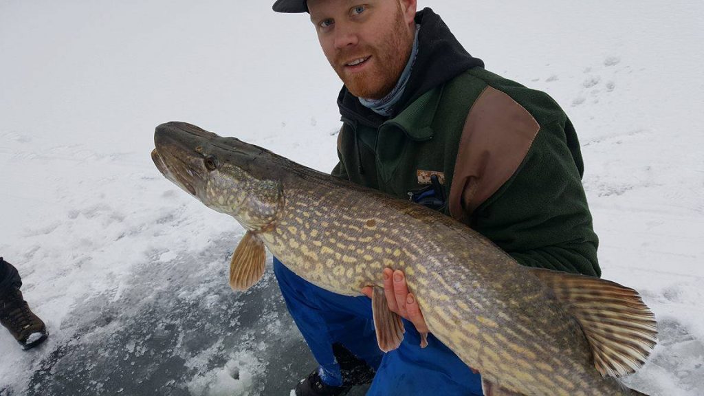 16522439_1429815750375436_753660710_o