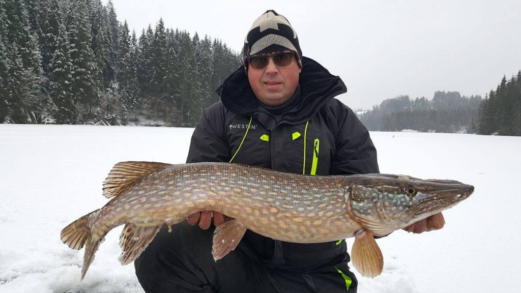 16523205_1429815473708797_1816967612_o