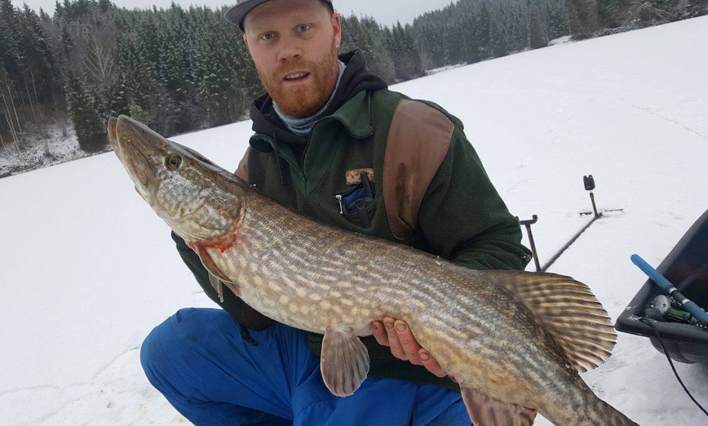 16523352_1429815543708790_1168383972_o