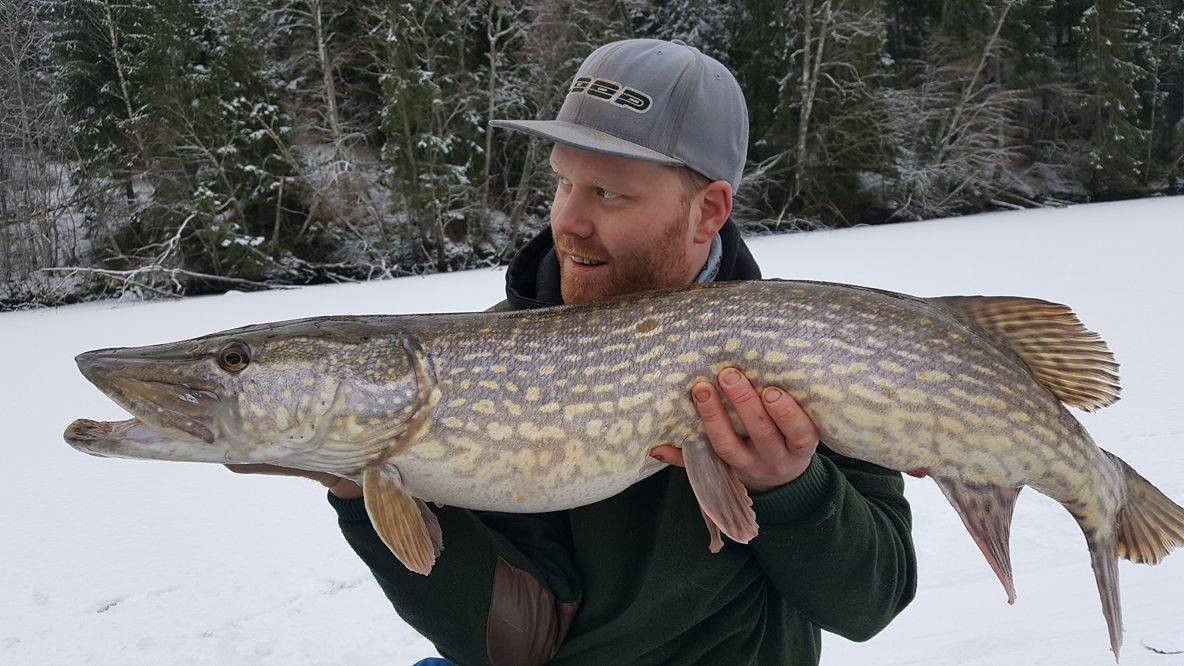 16586758_1429815777042100_882584209_o