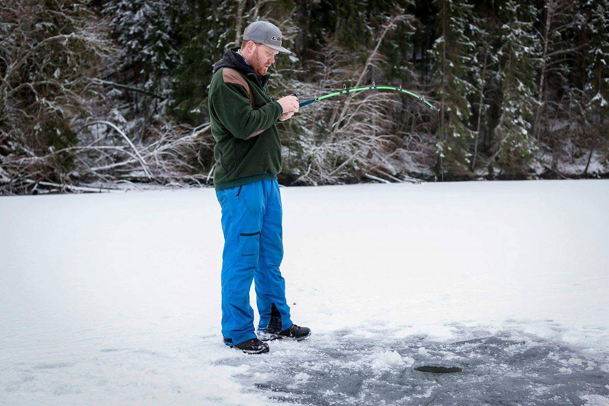 16586856_1429874087036269_1182580671_o