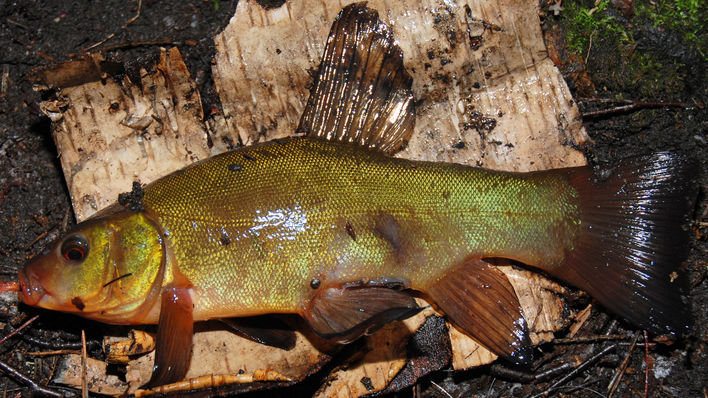 26591_385441745755_6640731_n