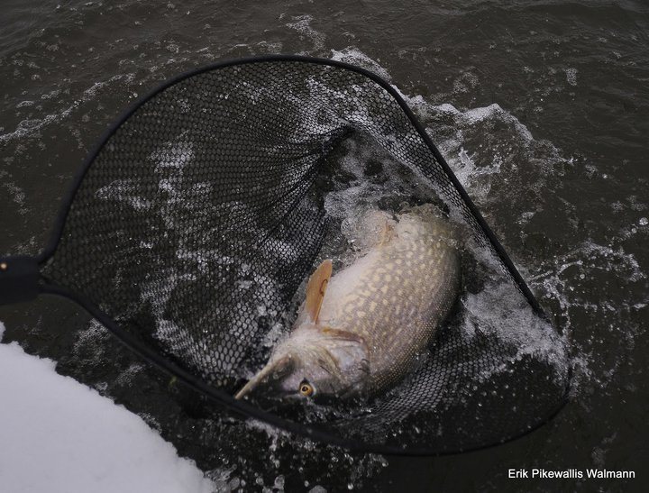 27171_385949515755_2610865_n