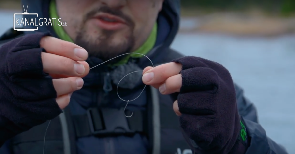How To Tie a Drop Shot Rig with Albin Sharghi