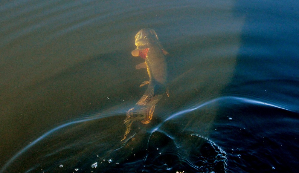 DET ER BARE så UBESKRIVELIG DEILIG………..DET er på gang nå……