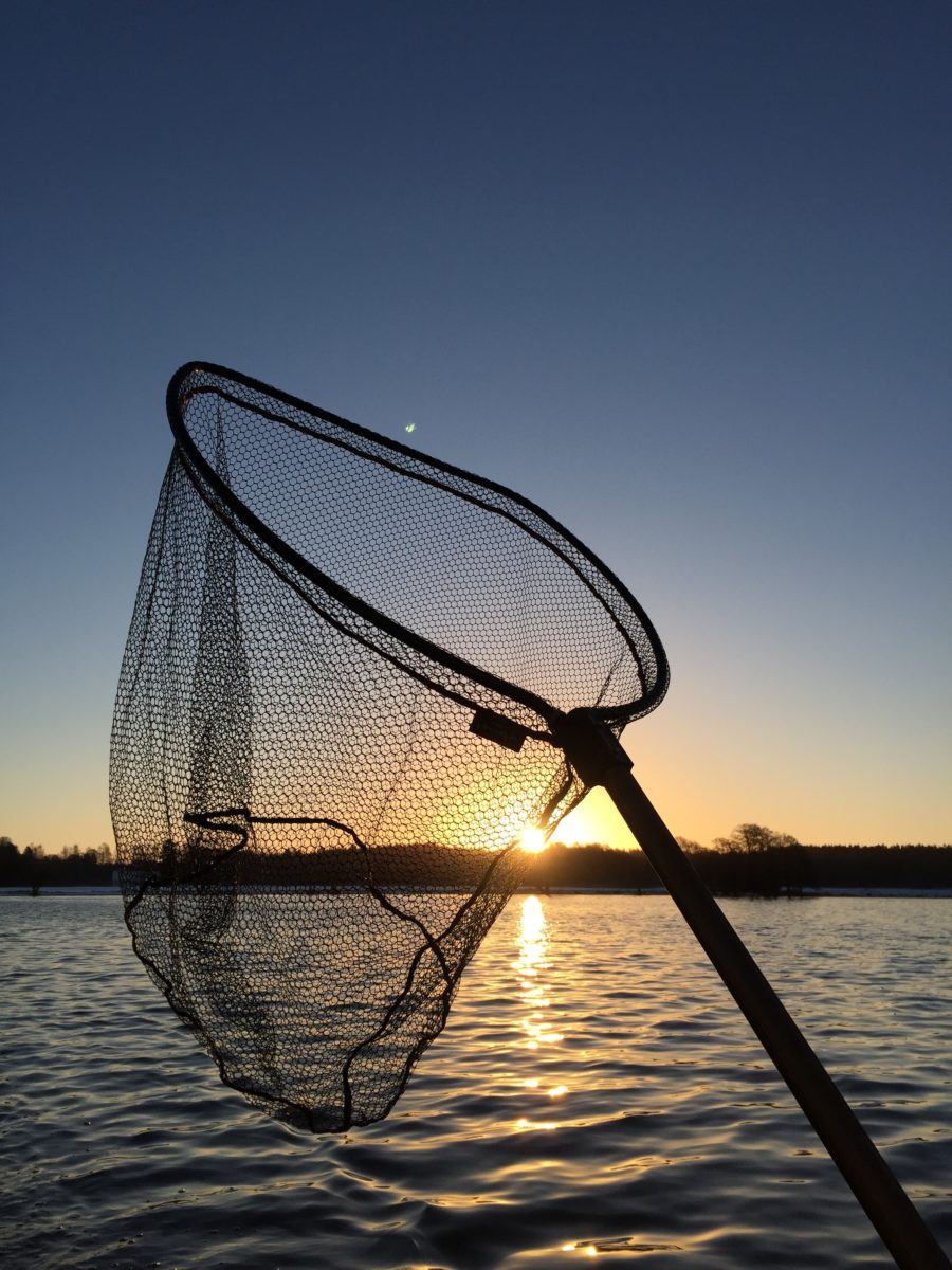 Årets första prickskytte