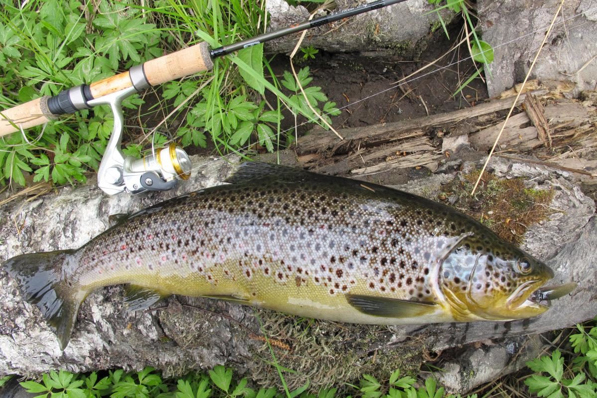 Bak disse kunsterverk av noen wobblere ligger det norske hender. Sverre TH. Solgård er mannen bak NEREID