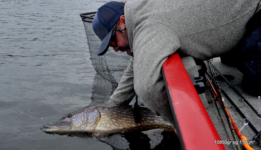 29 gjedde over 10+ så langt i mitt liv.