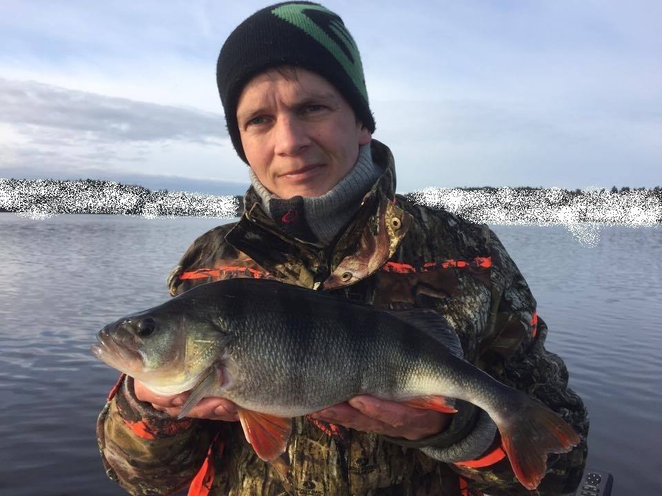 Rååå første innmeling på abbor fra vår alles Pål :-)