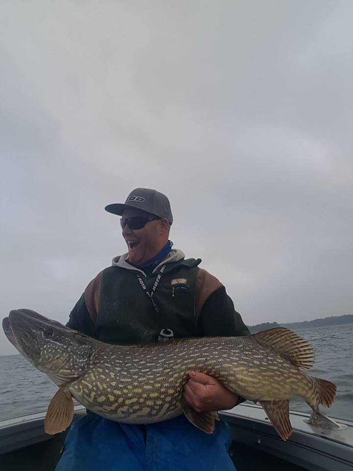 Gjedde brutale brutalijus av Raymond Svendsen.