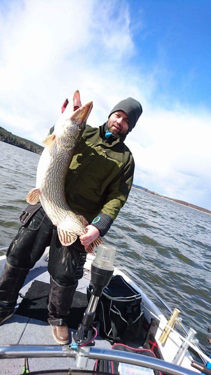 Gjeddegris som første innmelding.  Da legger man lista.