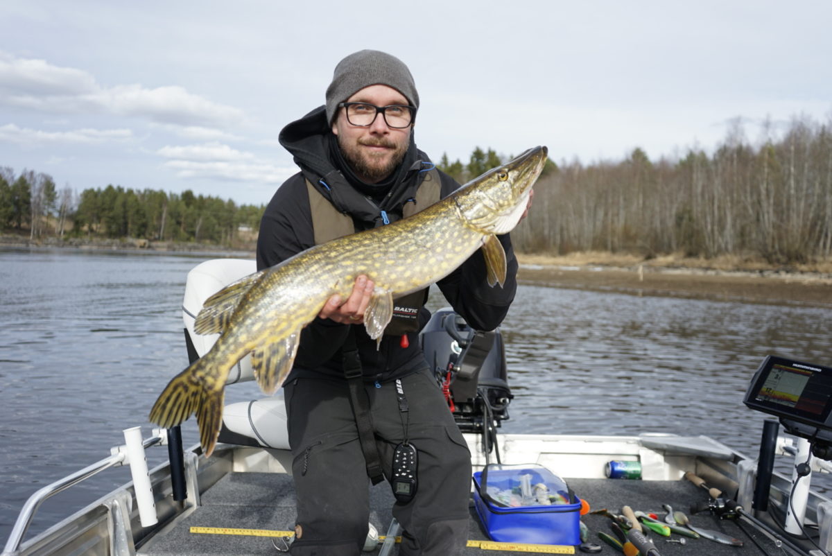 Knallbra første innmelding av Stein Skjerve