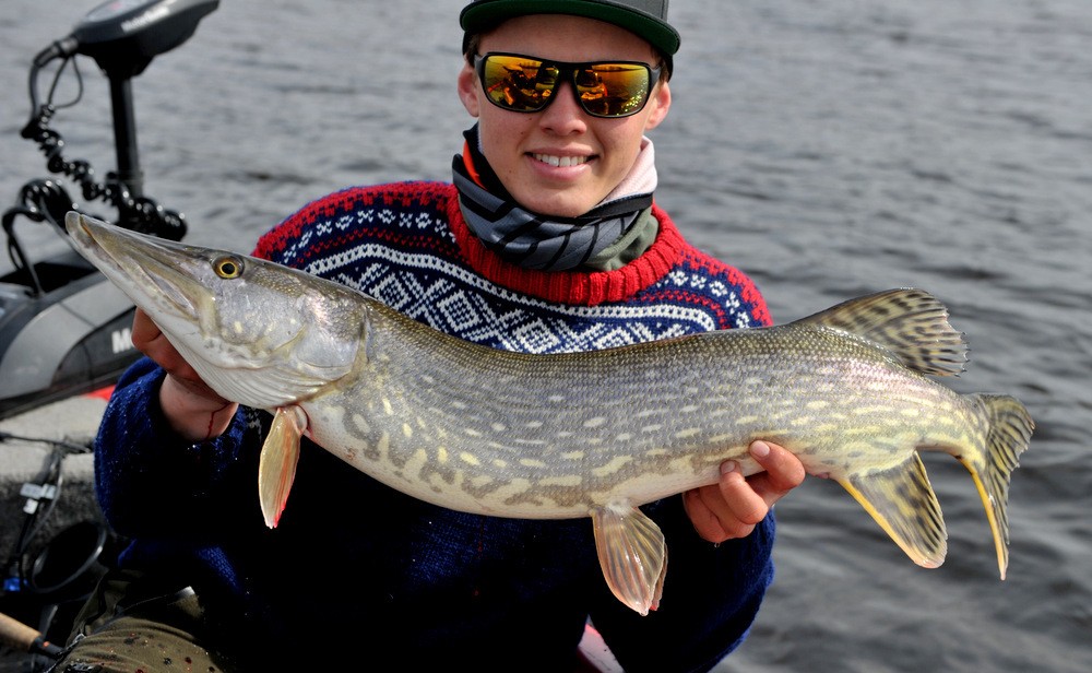 Thomas Roos Aas i flyt sonen……