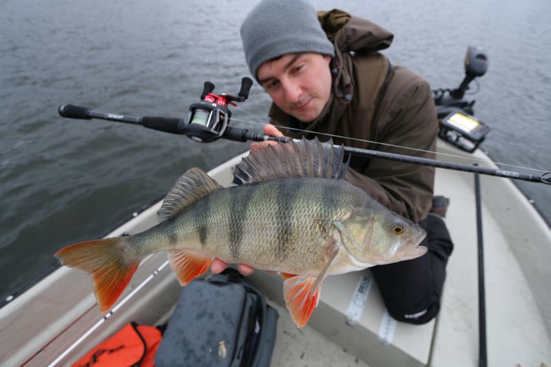 Tobias Fränstams abborrspön – Abu Garcia