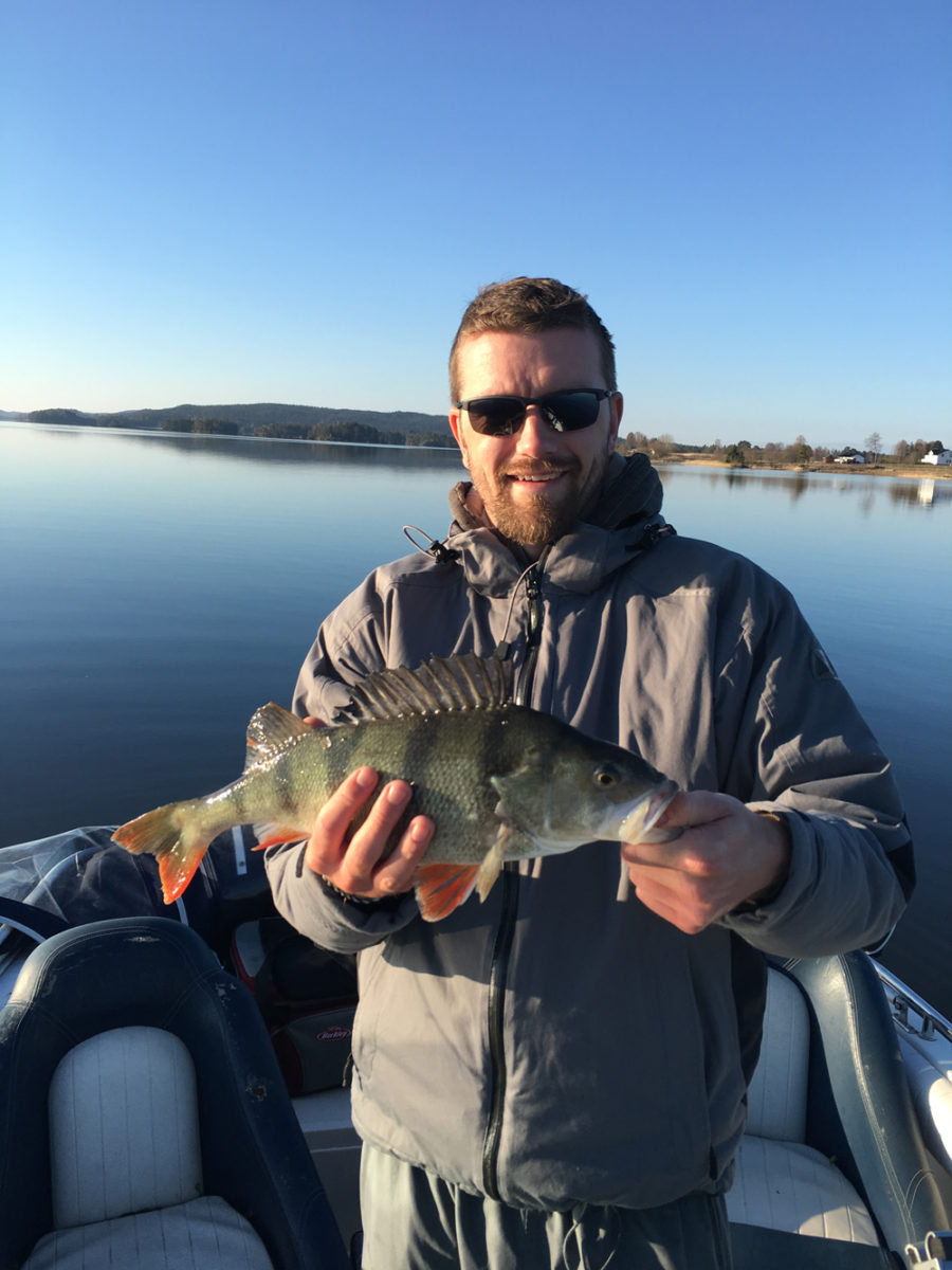 Lars Petter Haugen med to nye abborer.