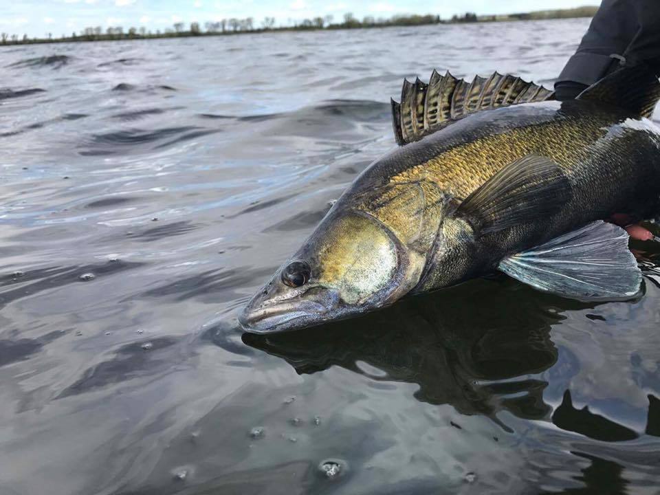 Jonathan Sjölin er en kille jag ser opp til :-) Han har vært ute på et ettermiddags pass.