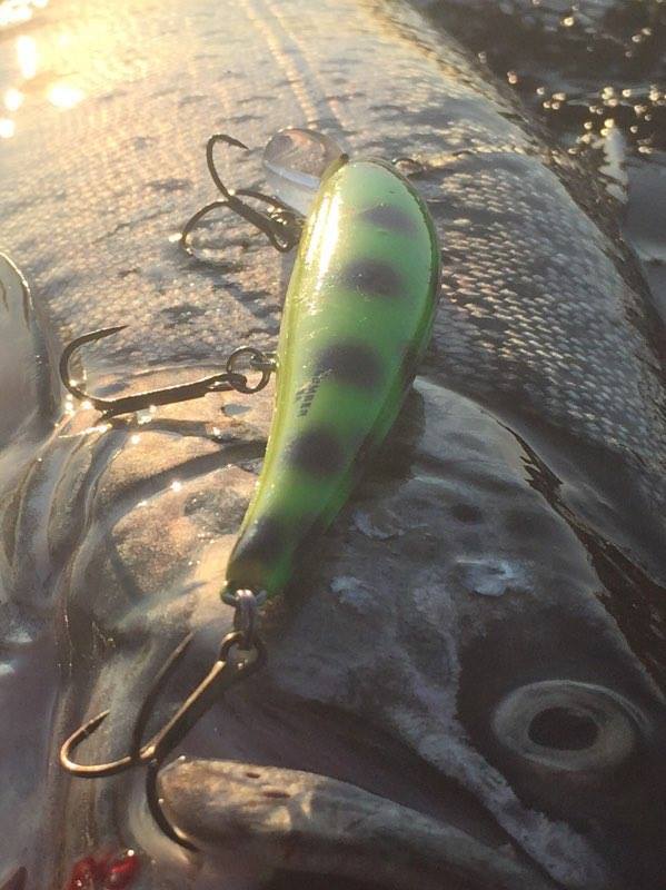 Årets første tur på Mjøsa for Kent og Cindy :-)