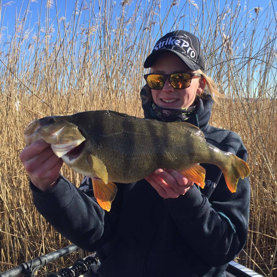 Då var årets satsning efter stor abborre klar!  Jonathan Sjölin og hans venner.